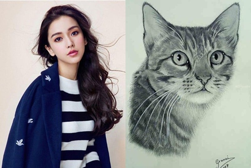 Tuổi Mão may mắn tuần mới
