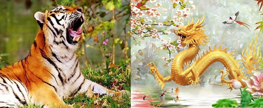 tu-vi-cuoi-tuan