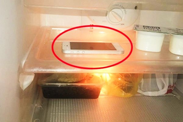 Tuyệt đối không cho điện thoại vào tủ lạnh