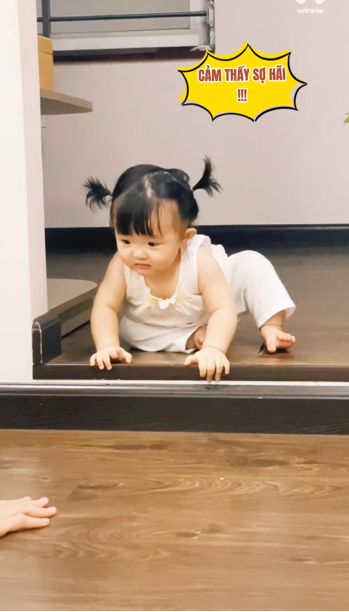 dongnhi2