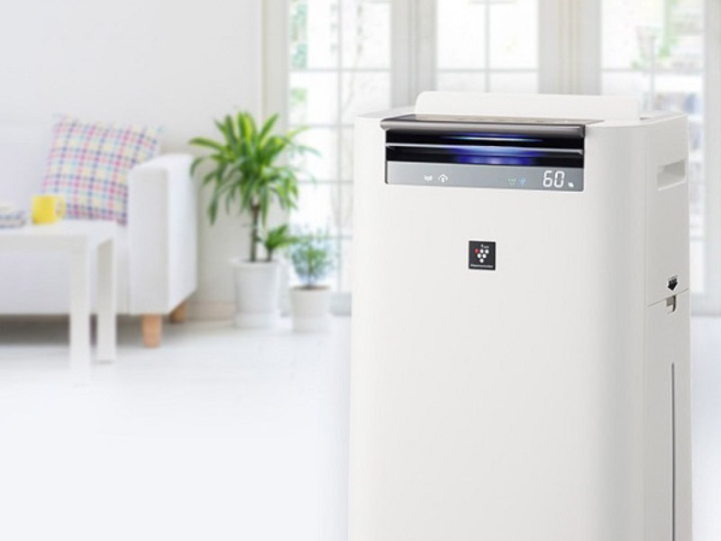 Máy lọc không khí giúp loại bỏ các tác nhân gây dị ứng