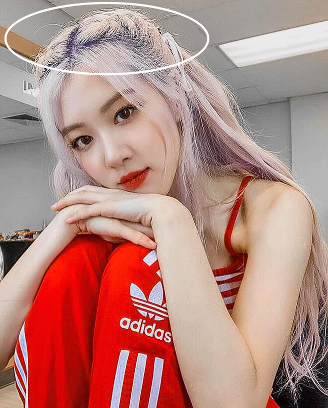 rosetaytoc4