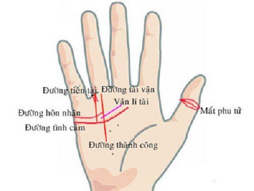 Tướng bàn tay phát tài