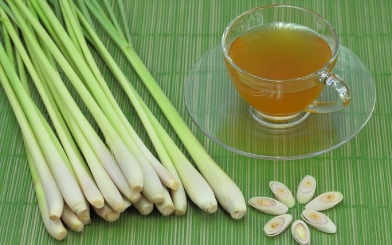5-nhom-nguoi-khong-nen-dung-sa-02