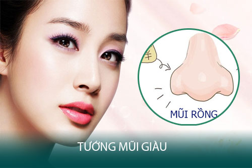 Tướng mũi tròn sống mũi cao phát tài