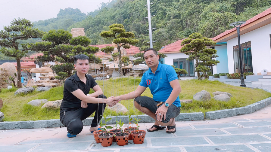 Nhờ thường xuyên giao lưu với những người cùng sở thích, Bảo Hưng đã sở hữu được nhiều giống lan đột biến quý.