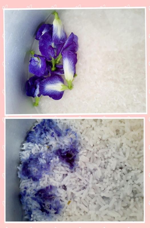 Vợ thì hí hứng nấu cơm hoa đậu biếc, còn chồng gọi đây là món cơm thủy đậu.