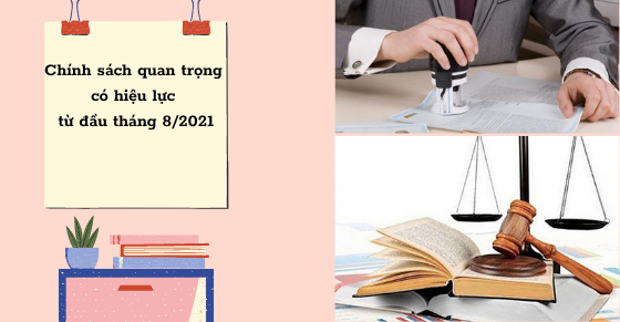 Nhiều chính sách mới sẽ có hiệu lực từ 1/8 liên quan đến nhiều đối tượng.