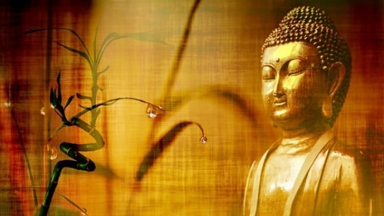 Phatgiao-org-vn-Loi-Phat-day-muon-it-biet-du-P-4-01