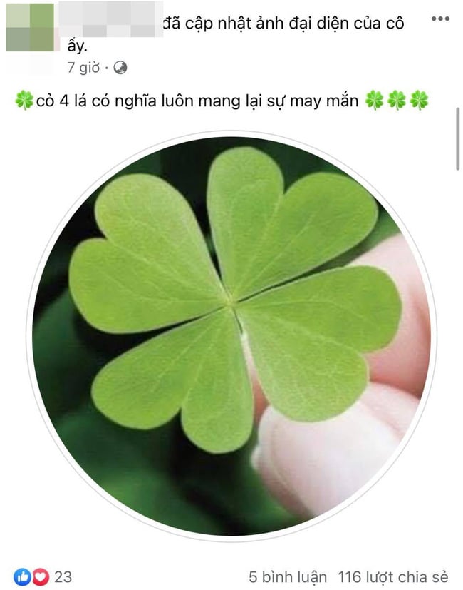Nhiều cư dân mạng lan truyền rằng đây là tài khoản của mẹ nạn nhân, trước đó tài khoản này mới thay ảnh đại diện cỏ 4 lá