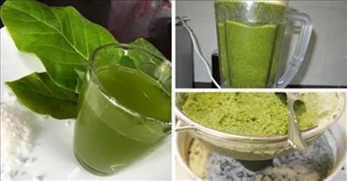 9-bai-thuoc-chua-benh-tu-la-bang-2