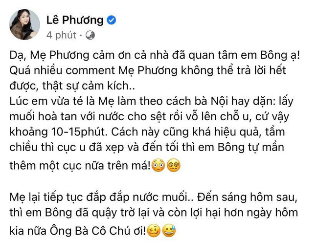 lephuong1
