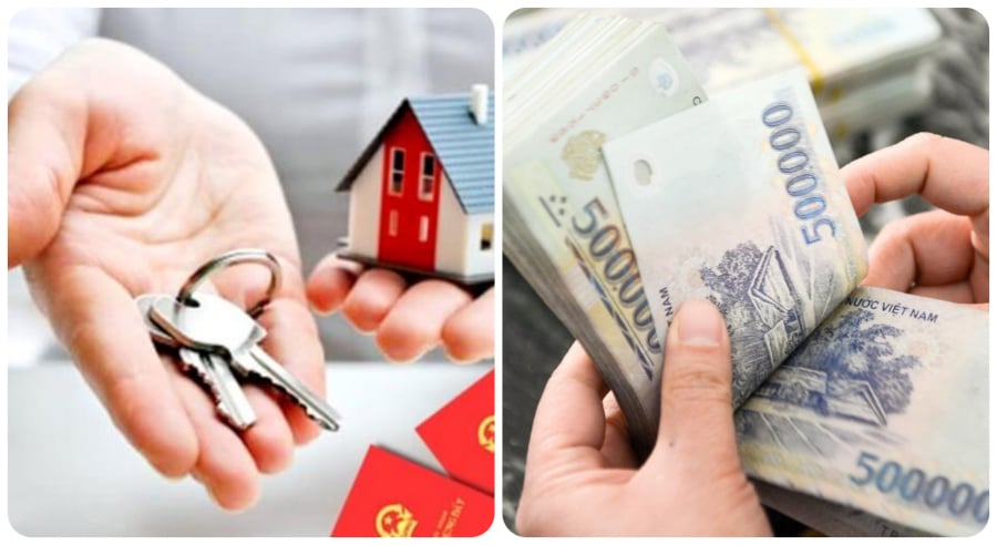Lương 10 triệu chắc chắn phải tiết kiệm thì mới có thể mua đất, mua nhà.