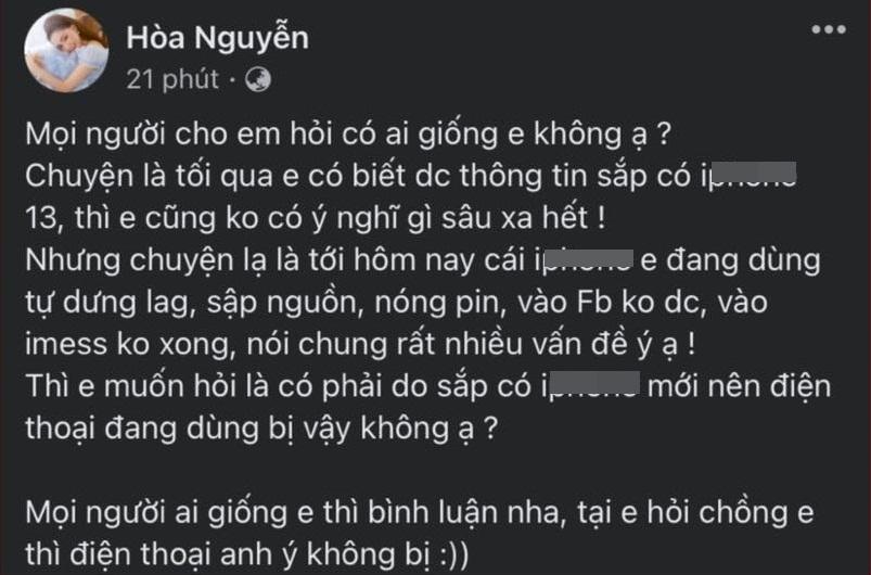 hoa-minzy-01