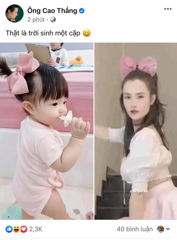 dongnhi