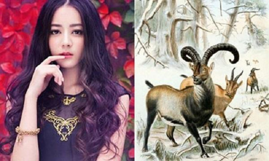 Tuổi Mùi phát tài trong 150 ngày tới