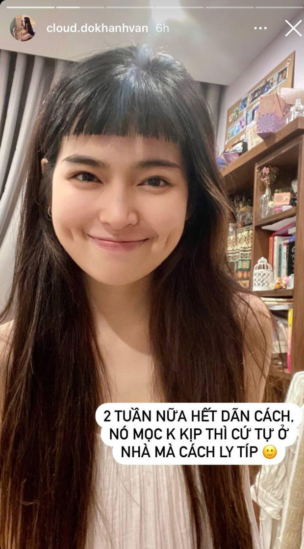 cattoctainha10