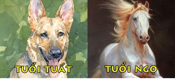 tuatngo