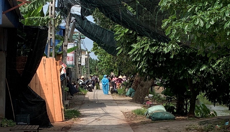 Ảnh Internet