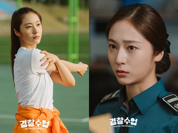 Krystalchamsocda1