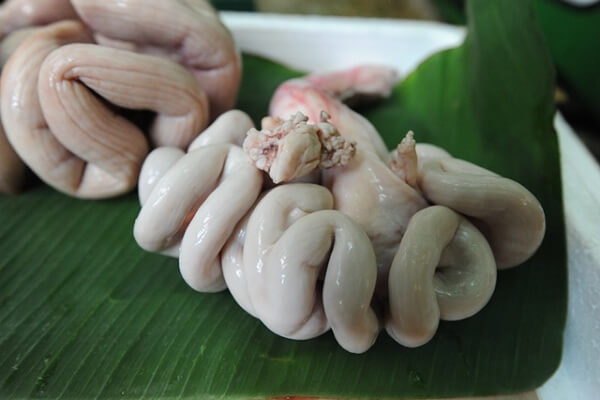 doi-truong-la-gi-1