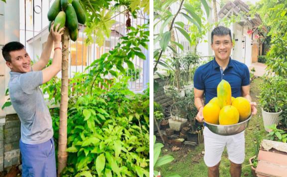 Cặp đôi tận dụng khoảng sân vườn rộng để trồng hoa và rau quả.