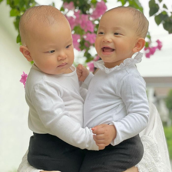 bo-anh-mung-10-thang-tuoi-cay-nha-la-vuon-cua-hai-con-ho-ngoc-ha-d424366b