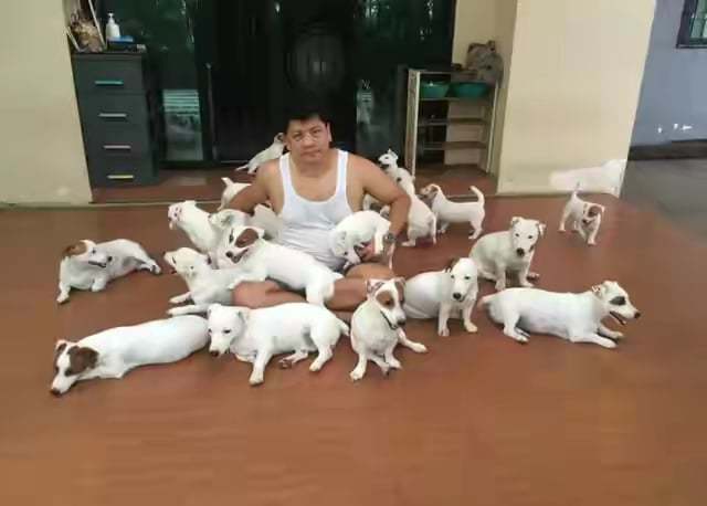 cho