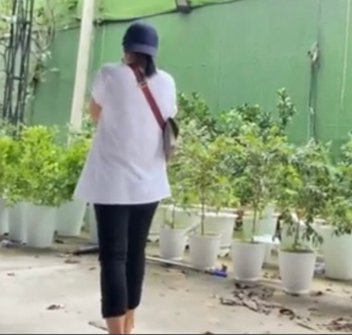 phuongthanh3
