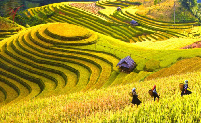 hagiang