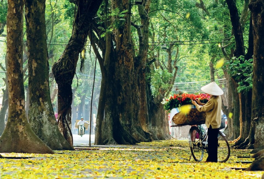 hanoi1