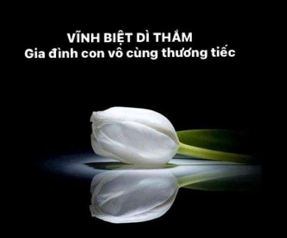 damvinhung