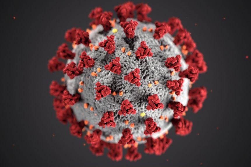 virus-sarscov2-doi-lao
