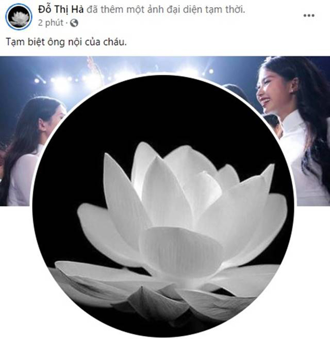 hoa-hau-do-thi-ha-2-145346