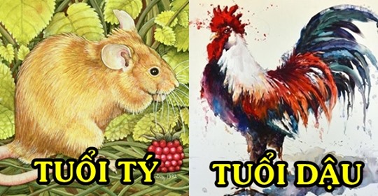 Cuối tháng 9 những Shbet888.com nhà cái uy tín này được Sh88bet link truy cập World Cup trợ giúp