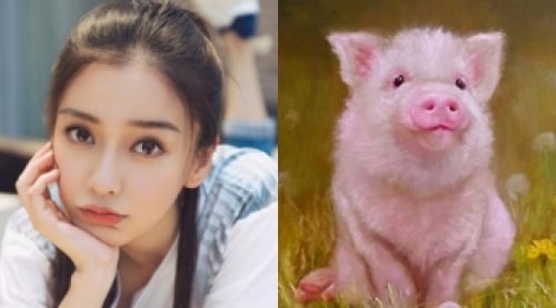 Con giáp hậu vận sung sướng