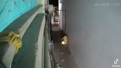 Bé gái điềm tĩnh rước đèn 
