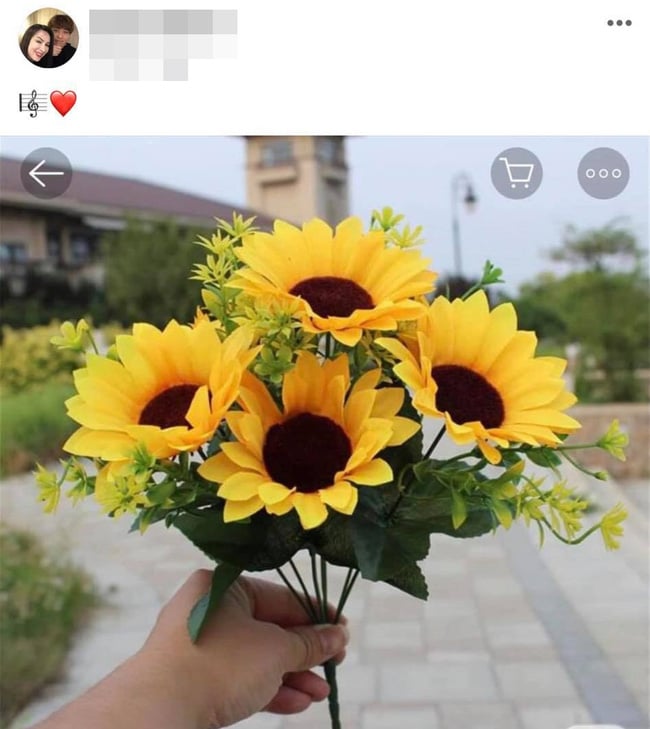 phinhung3