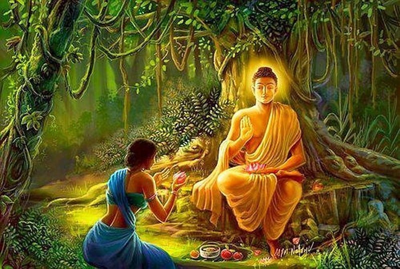 phuc-duc-153617