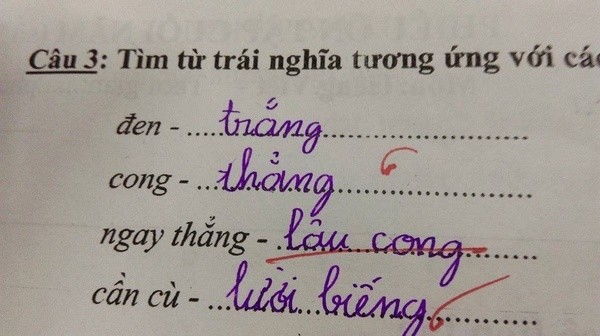 Văn tả thực thì phải có thật, đúng không?
