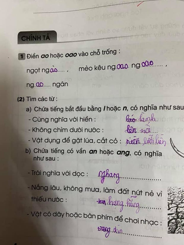 Đáp án của cô/cậu khiến người xem phải phì cười 
