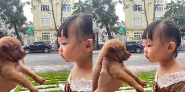 anh-em-subeo-suchin-thich-thu-chup-anh-cung-be-cun-vua-nhan-nuoi-9bd72cc5