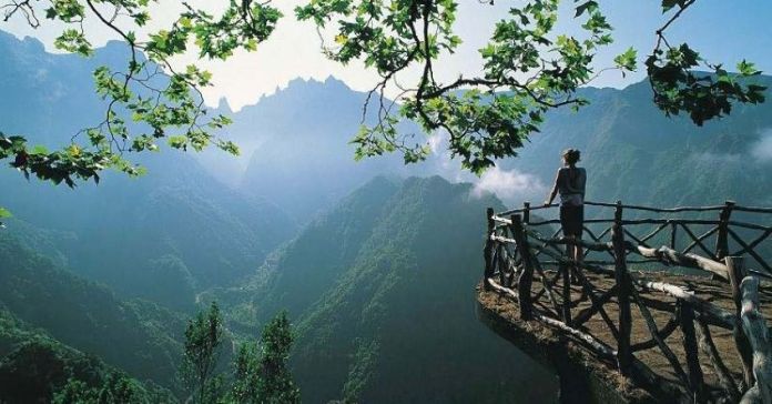 lam-nguoi-qua-met-moi-la-vi-ban-da-roi-vao-ba-cai-bay-nay-thumb