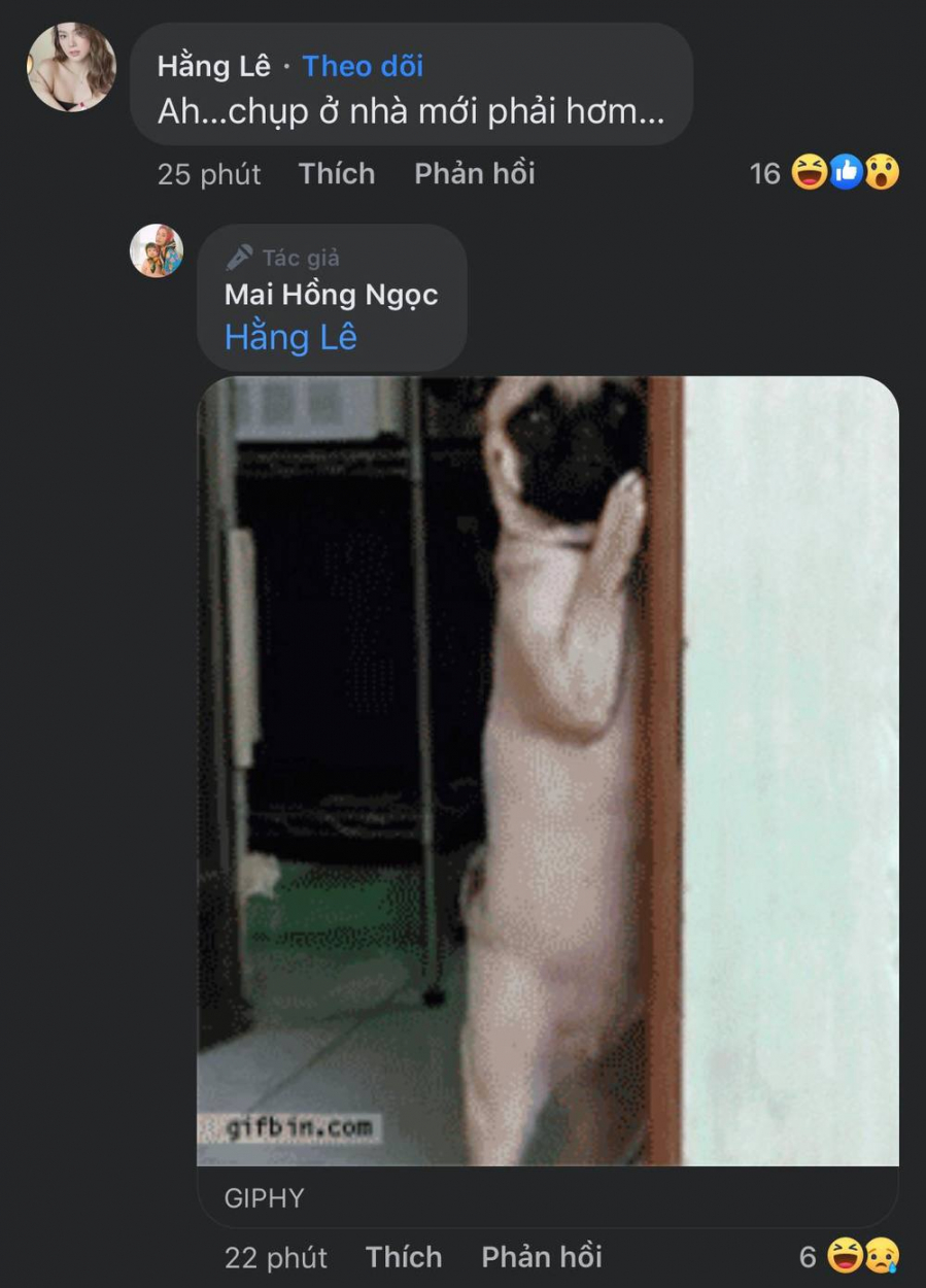 dong nhi