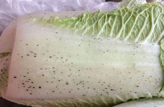 Không nên mua rau cải thảo có mùi lạ