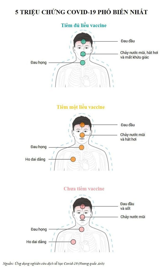 Năm triệu chứng Covid-19 phổ biến nhất dựa trên tình trạng tiêm chủng của mọi người.