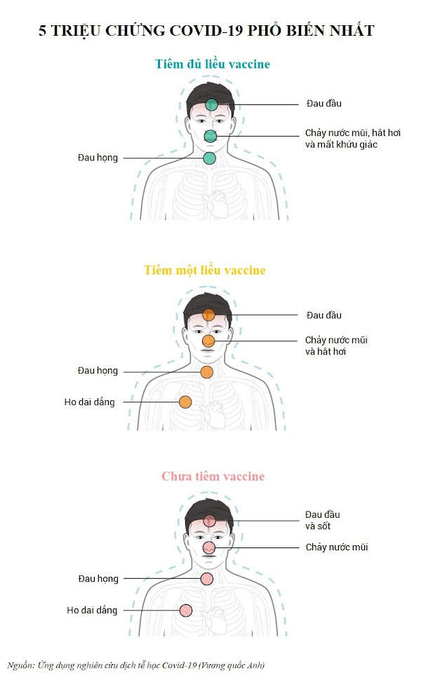 5 triệu chứng nCoV phổ biến nhất theo từng tình trạng tiêm vắc xin. Đồ họa: Insider/Zing