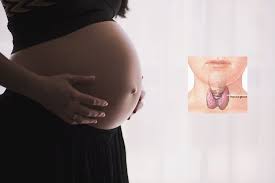 images (1)