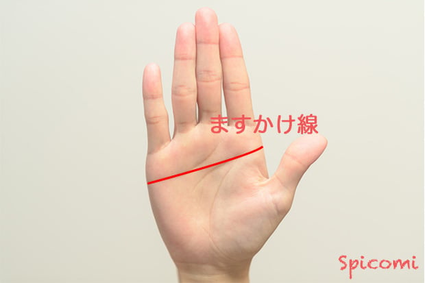 Đường chỉ tay masukake theo quan niệm của người Nhật Bản.