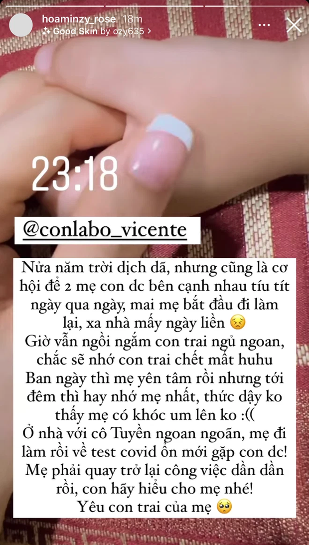 hoaminzy1